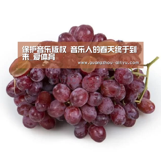 保护音乐版权 音乐人的春天终于到来_爱体育