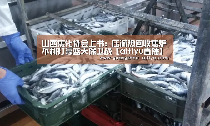 爱体育