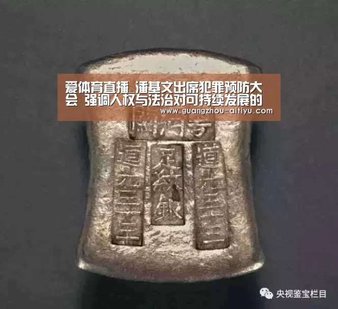 爱体育直播_潘基文出席犯罪预防大会 强调人权与法治对可持续发展的重要性(图1) 爱体育